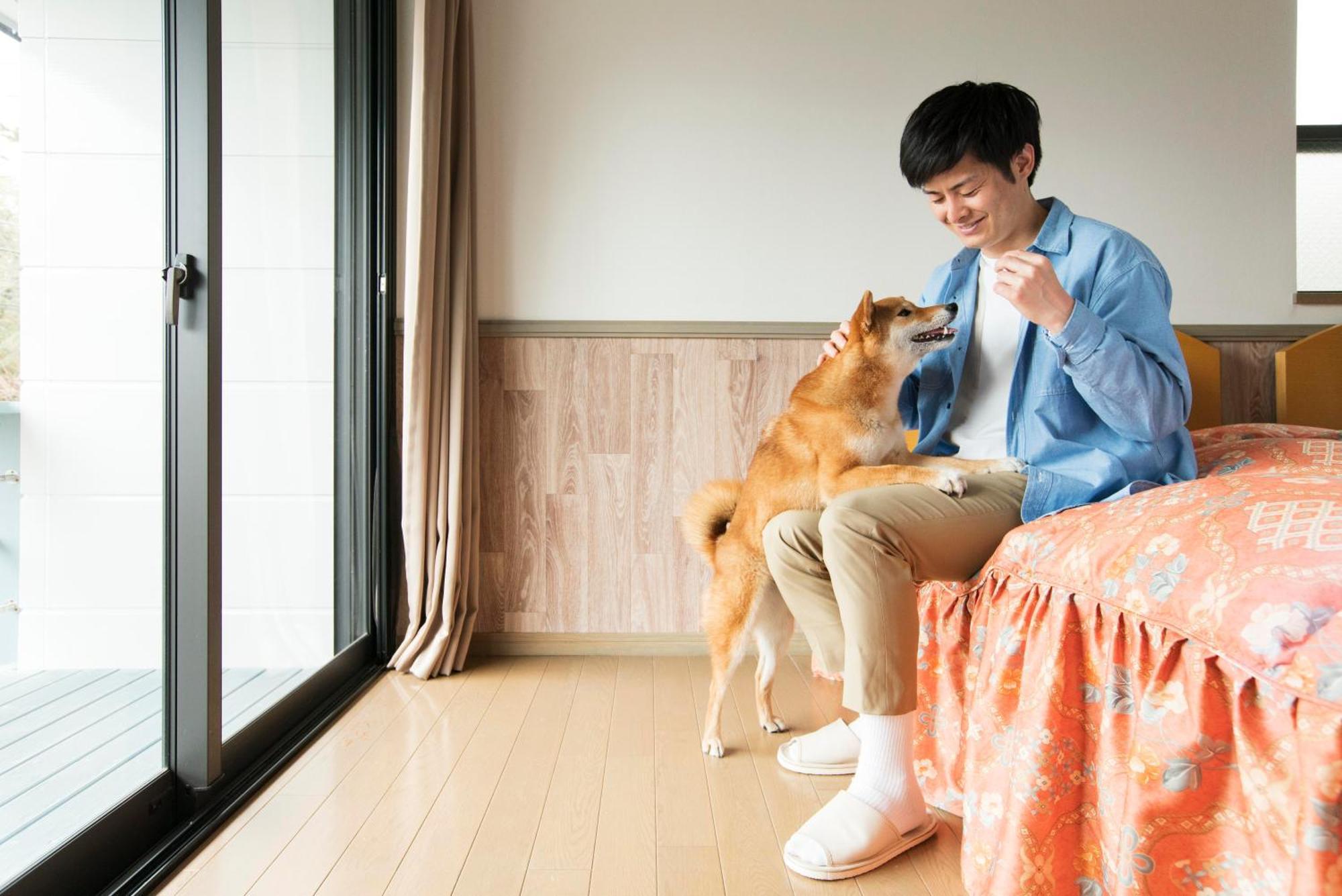 Izumigo Izukogen Dog Paradise Hotel & Cottage Іто Екстер'єр фото
